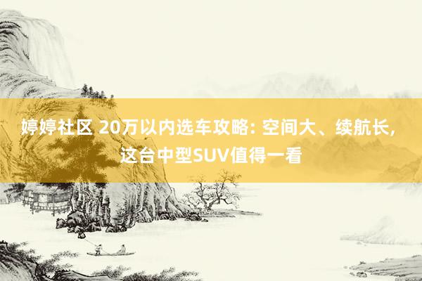 婷婷社区 20万以内选车攻略: 空间大、续航长， 这台中型SUV值得一看