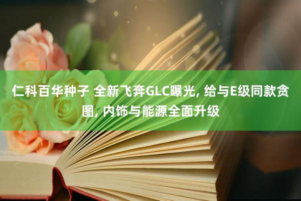 仁科百华种子 全新飞奔GLC曝光， 给与E级同款贪图， 内饰与能源全面升级