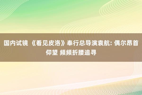 国内试镜 《看见皮洛》奉行总导演袁航: 偶尔昂首仰望 频频折腰追寻